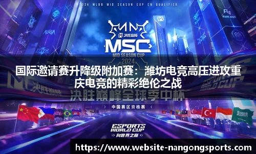 ng28公司